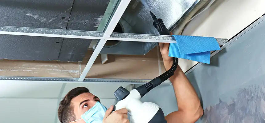 Our Air Duct Rodent Removal Services in Kissimmee, FL