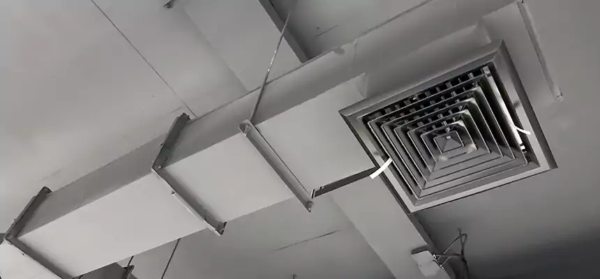 Our Rodent Droppings In Vents Services in Kissimmee, FL