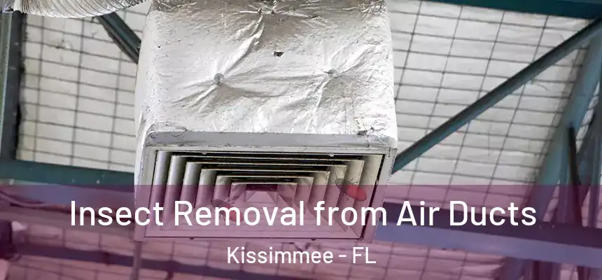 Insect Removal from Air Ducts Kissimmee - FL