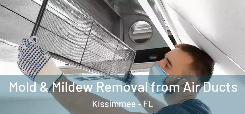Mold & Mildew Removal from Air Ducts Kissimmee - FL