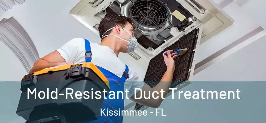 Mold-Resistant Duct Treatment Kissimmee - FL