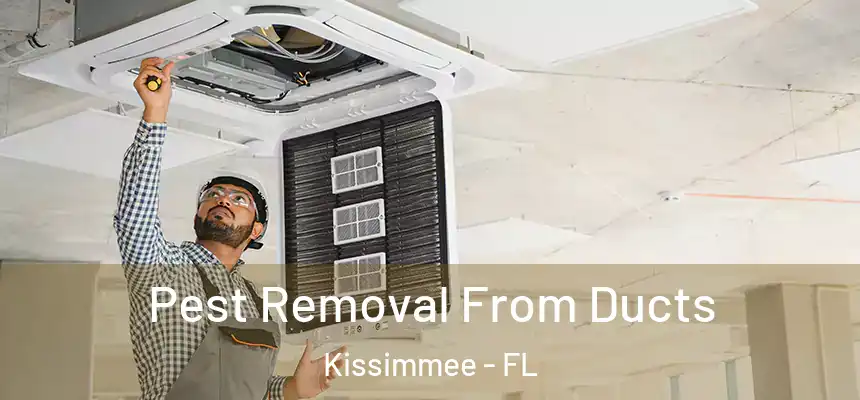 Pest Removal From Ducts Kissimmee - FL