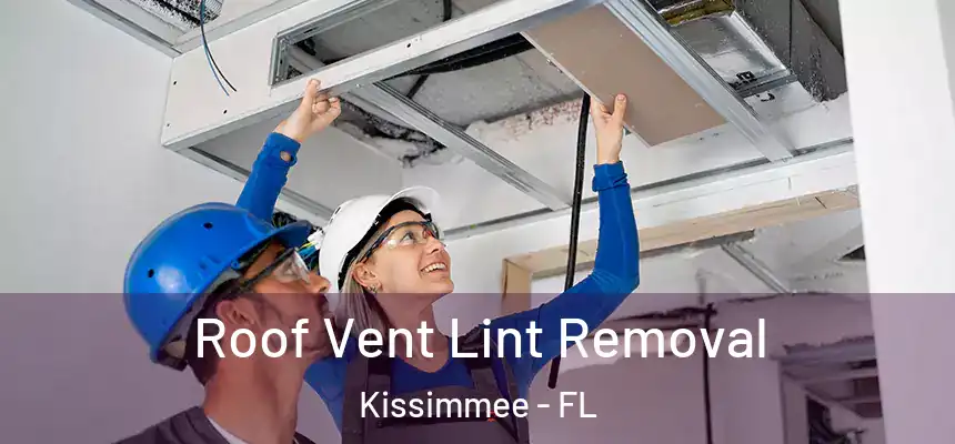 Roof Vent Lint Removal Kissimmee - FL