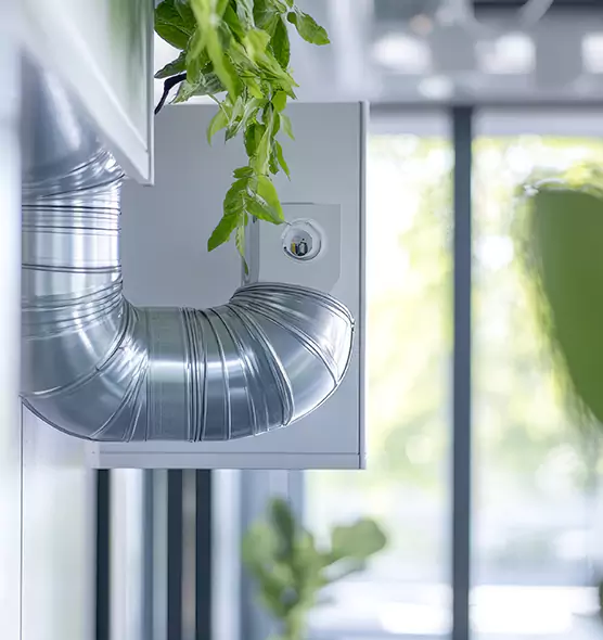 Professional Eco-Friendly Duct Cleaning Services in Kissimmee, FL