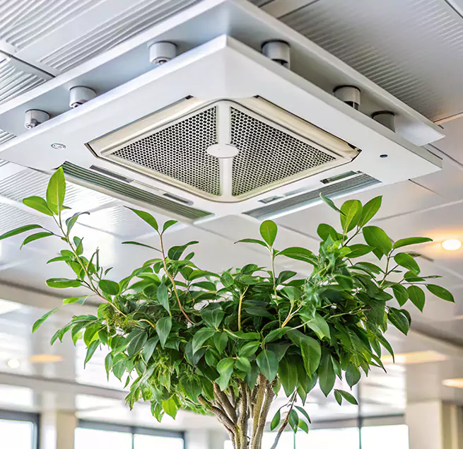 Why Homeowners & Businesses Trust Us in Kissimmee, FL?