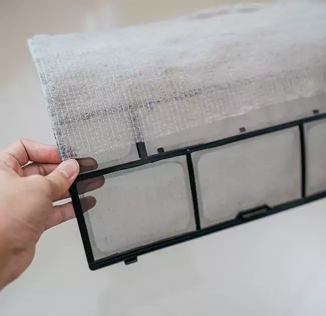 Why Homeowners & Businesses Trust Us in Kissimmee, FL?