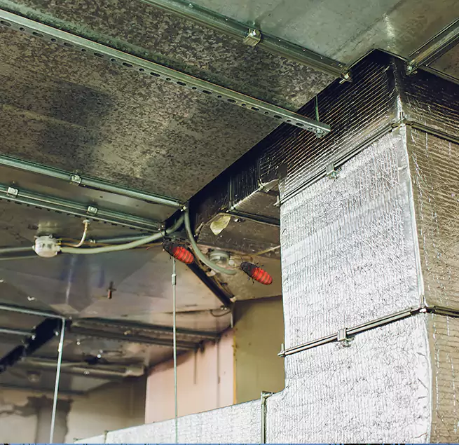 Why Homeowners & Businesses Trust Us Kissimmee, FL?