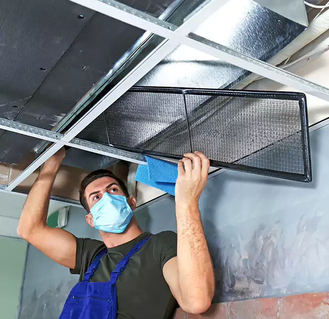 Why Homeowners Businesses Trust Us in Kissimmee, FL